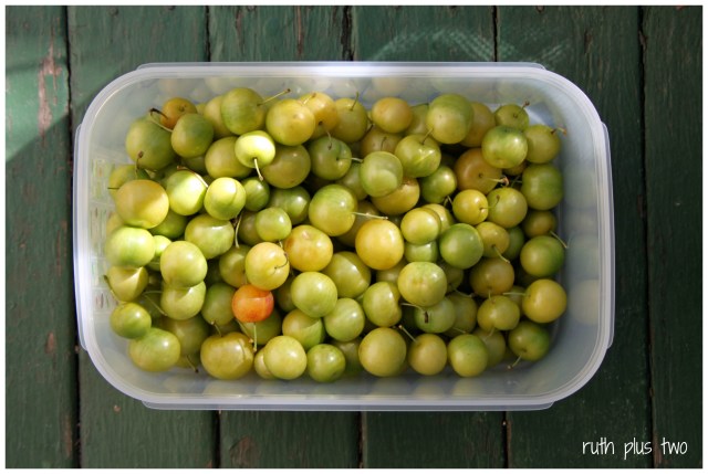 green plums