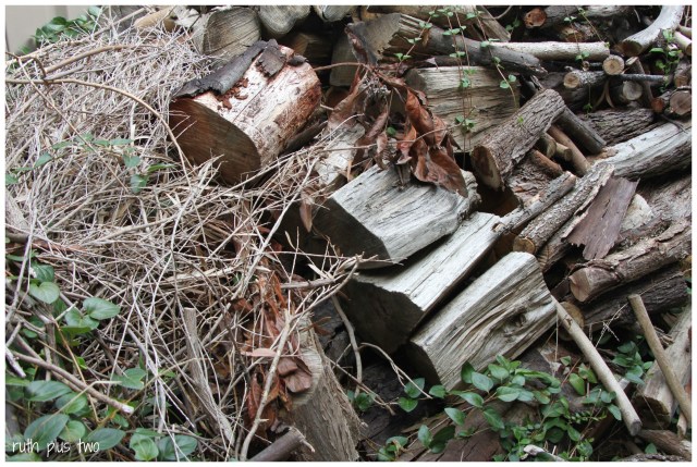 woodpile