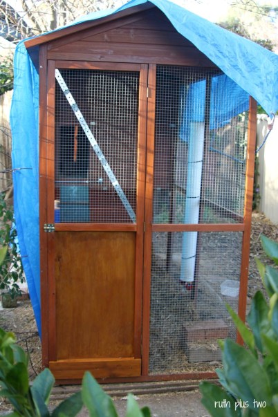 new coop door