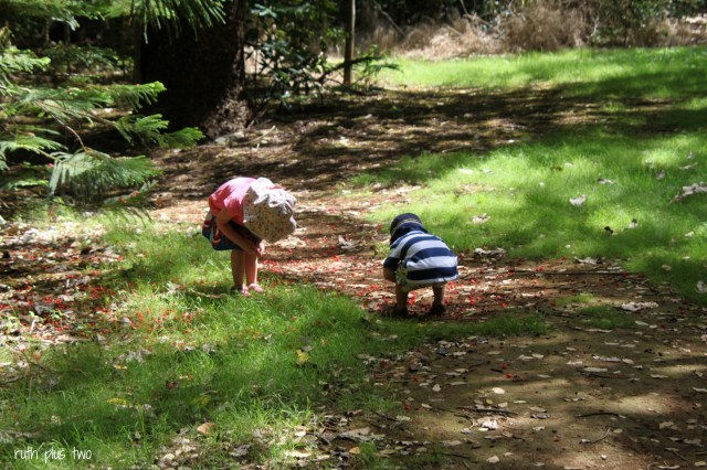 looking for treasure